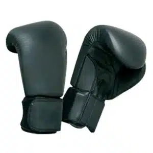 Karate Mitts